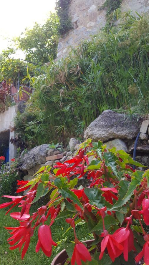Fontanelle Holiday home Badolato Marina
