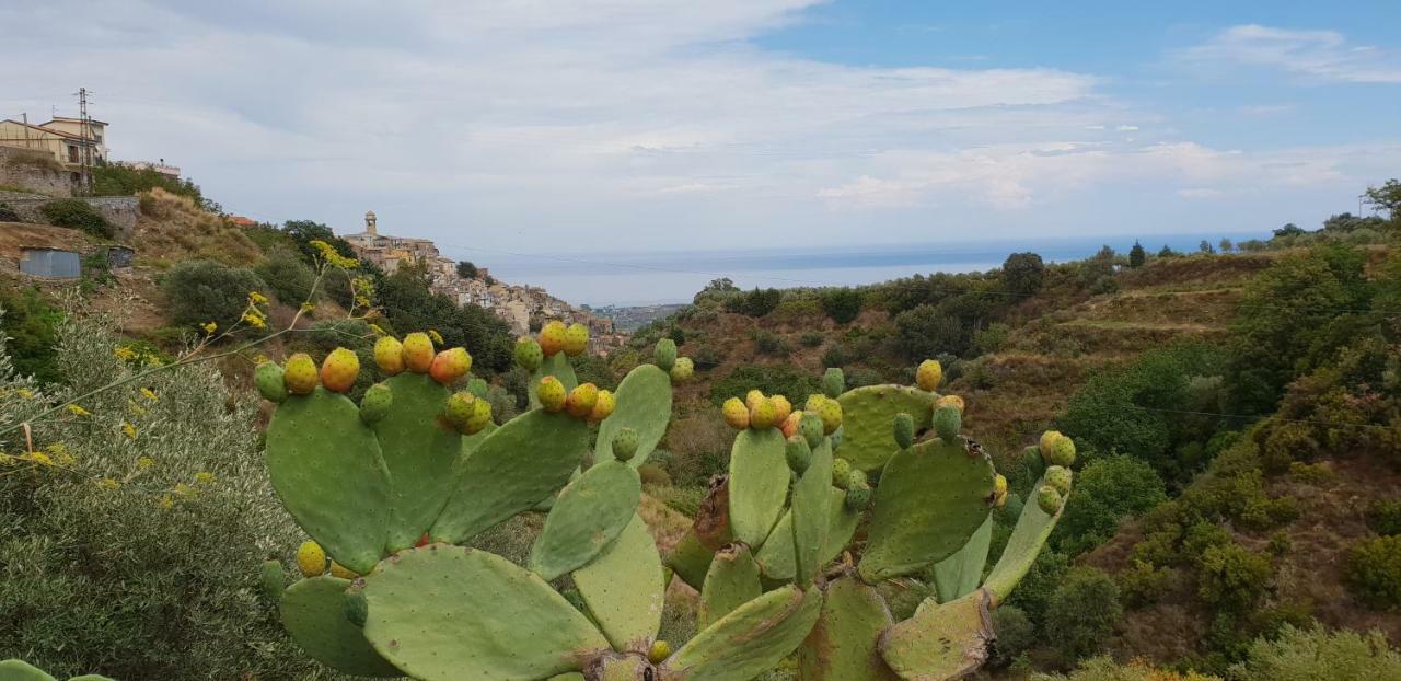 Fontanelle *