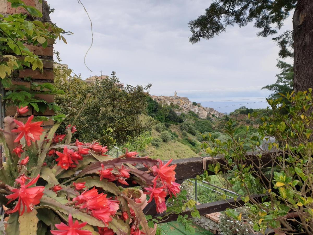 Fontanelle
